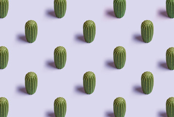 cactus isolated on background pattern
