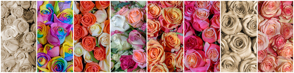 Obraz na płótnie Canvas Beautiful collage of flowers. Close up.