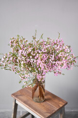 Pink chamelaucium, wax flower on gray background, copy space. The work of the florist at a flower shop. Fresh cut flower.