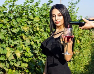 pretty woman in vineyard drinking wine