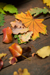 autumn still life in rustic style as a background - leaves on a wooden boards