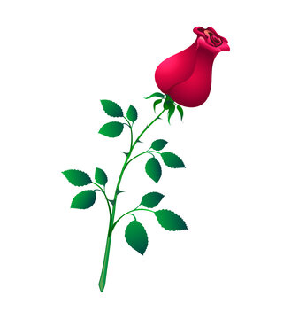 Cartoon realistic image of a red rose bud, symbol of love, decor element. Vector illustration isolated on white background.