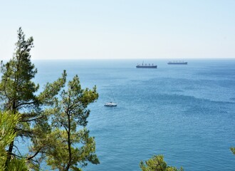 Yacht sailing to the port