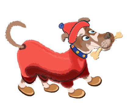 Cartoon dog dressed in a suit, hat and boots with a bone in his teeth. Vector illustration on the topic of pets.