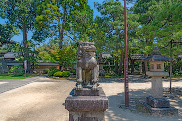 京都宮津 智恩寺 境内の狛犬