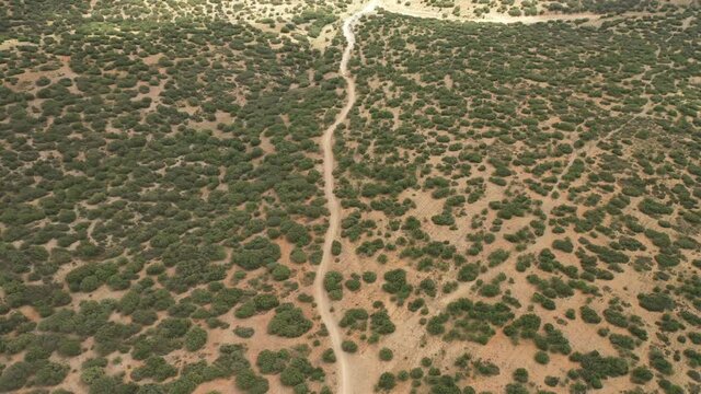 Aerial wide view on racing car passing over the desert on Dakar rally