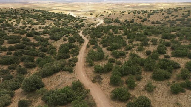 Aerial shot of SUV racing car in the desert of international rally event