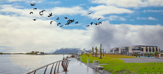 A rainy  day in Brønnøysund harbor, Nordland county