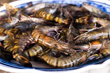 Big Tiger Prawns in a Tray
