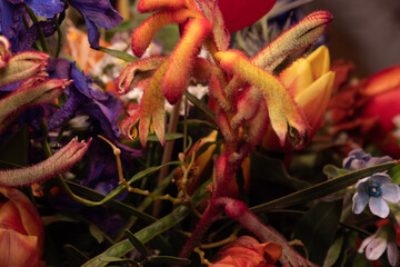 flowers isolated on black background. Floral arrangement, bouquet of garden flowers. 