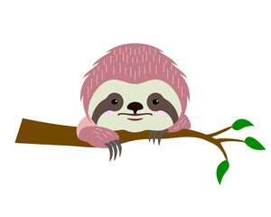 Obraz premium Śliczna twarz i łapy tropikalnego leniwca trójpalczastego na gałęzi drzewa. Ilustracja wektorowa w stylu kreskówka na białym tle.
