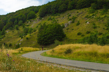 Man mountain biking along a road