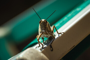 Die direkten Nachbarn