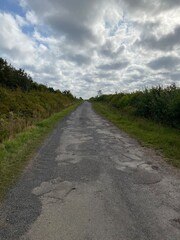 Obraz premium road in the countryside