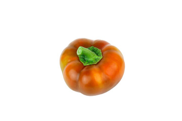 Colored raw bell pepper, white background