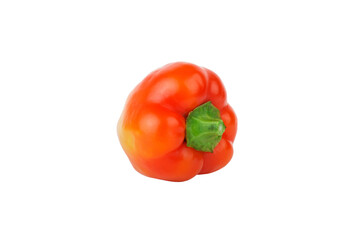 Colored raw bell pepper, white background