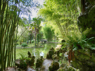 The pond, bamboo and Forest Meditation Scene