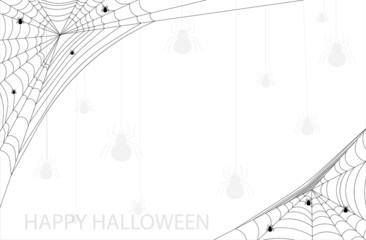 spider web with white background  for halloween, Halloween concept