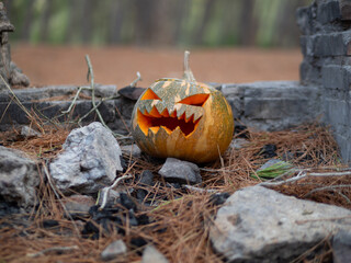 Calabaza de halloween con fuego en su interior en un bosque para celebrar el día de muertos o de todos los santos