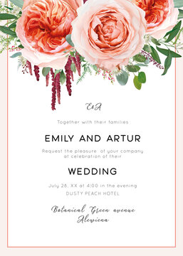 Wedding invite card, invitation. Pale coral & blush peach roses, astrantia plant, pink heather flowers, burgundy red amaranth, eucalyptus, asparagus fern leaves & herbs vector watercolor illustration