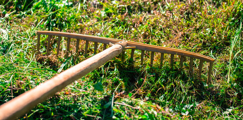 Man working on green farm with rake in nature. Cultivate meadow and produce organic grass in season for compost.