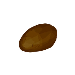 Vector illustration of potato isolated on white background