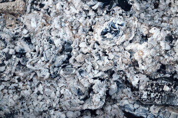 Coals in an extinct fire. Natural gray background. Coal and ash in a burnt fire