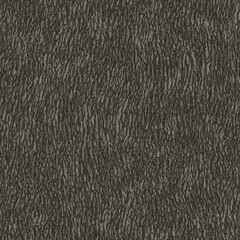 old tree bark texture