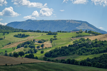 Fototapeta na wymiar Paysage rural de la région des Marches en Italie