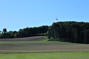 Obraz premium road in the forest