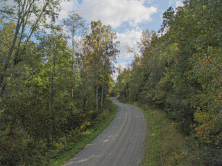 Fototapeta na wymiar A gravel road through the forest.