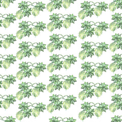 pattern seamless gooseberry plant watercolor