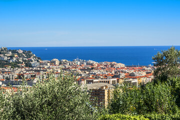 Fototapeta na wymiar A small old park on the Cimiez hill and a panoramic view of Nice from the hill. Nice. France.