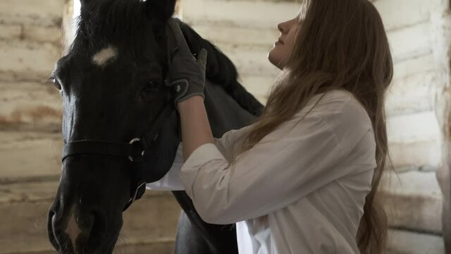 A girl in a white shirt and gloves puts a bridle on a horse