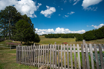 La magia della Sila © ifontanaphoto