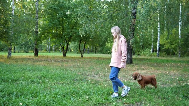 Long haired blonde girl in jeans and purple hoodie walks with funny spaniel dog along green park against large birch trees