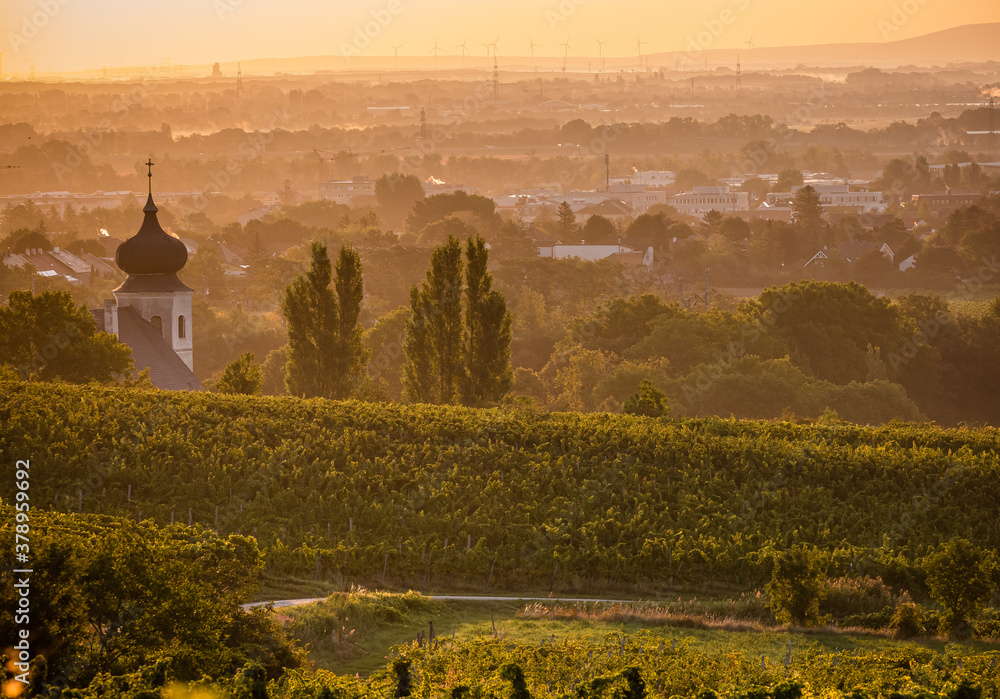 Wall mural sunrise over the city wineyards in south vienna