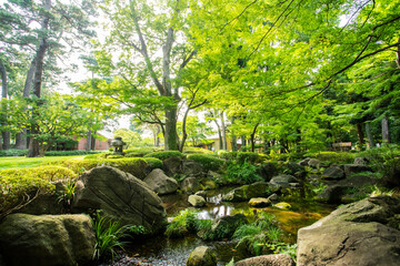 杉並区立大田黒公園