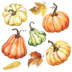 Watercolor illustration with pumpkins and autumn leaves, autumn harvest. watercolor set with vegetables. Thanksgiving. Fall.