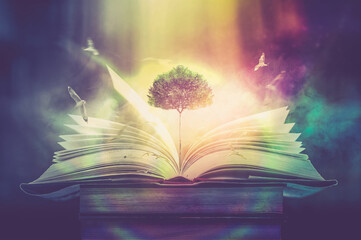 Education concept with tree of knowledge planting on opening big book and blurred bookshelf background in library. education background. back to school concept