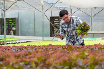 agronomist using digital mobile tablet checking fresh red oak lettuce salad organic hydroponic vegetable in hydroponic greenhouse garden nursery farm, smart farming and agricultural innovation concept