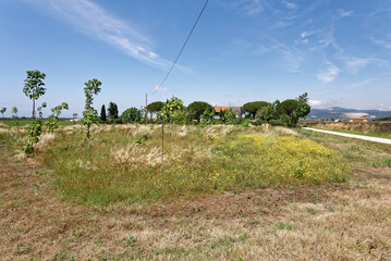 Italien - Toskana - Provinz Livorno - allgemein