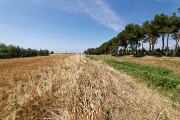 Italien - Toskana - Provinz Livorno - allgemein
