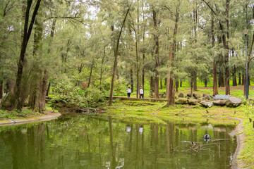 Dos se&ntilde;oras de la tercera edad se est&aacute;n ejercitando en el bosque de los Colomos de Guadalajara.

