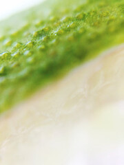 Lime slice extreme close up