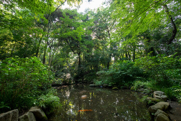 新宿区立おとめ山公園