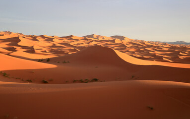 Fototapeta na wymiar Sunset over sand dunes, Sahara, Morocco