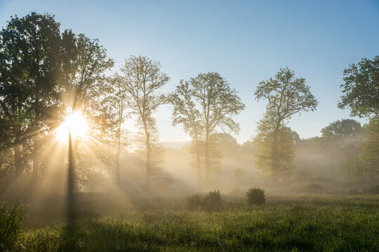 lever du soleil dans la brume matinale