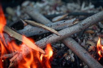 Close-up burning woods and flames