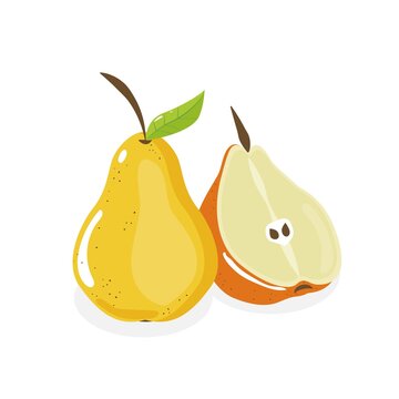 Vector fruit illustration with whole and a half pear